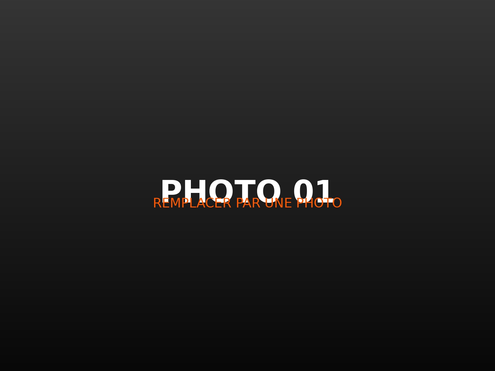 Photographie de concert 1