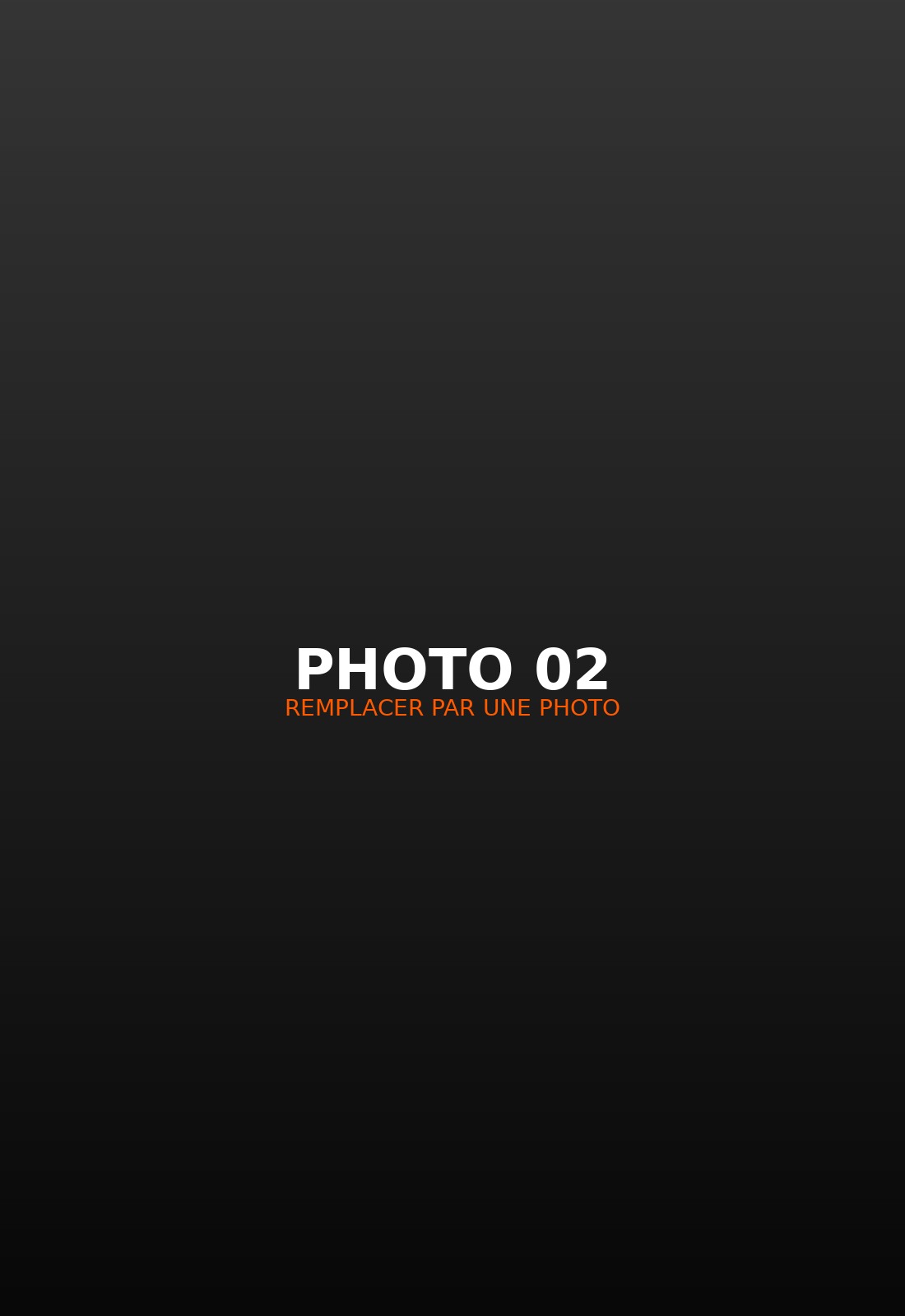 Photographie de concert 2