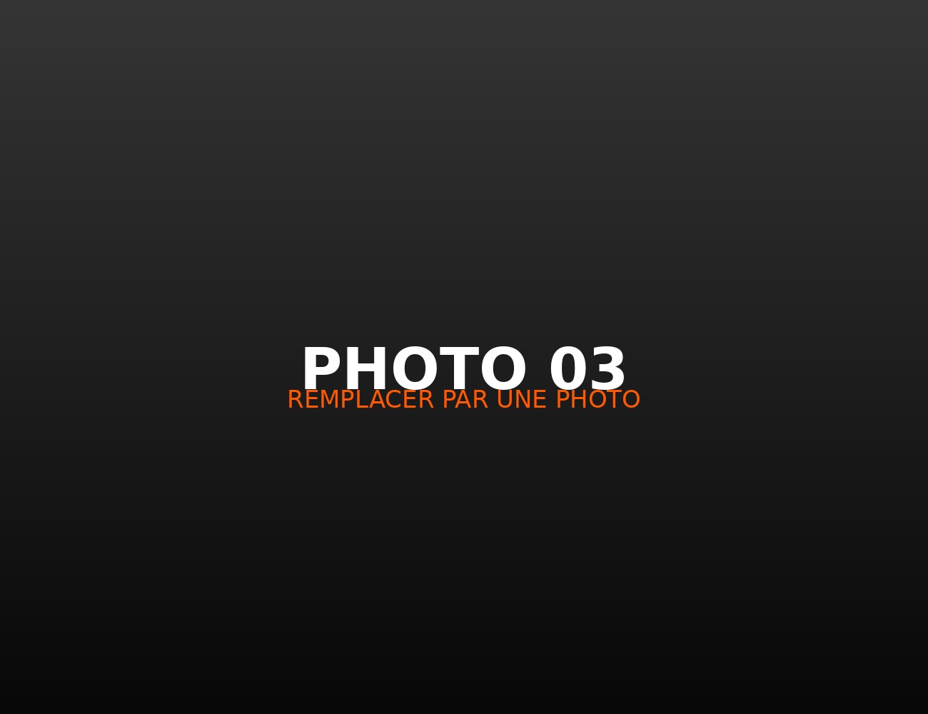 Photographie de concert 3
