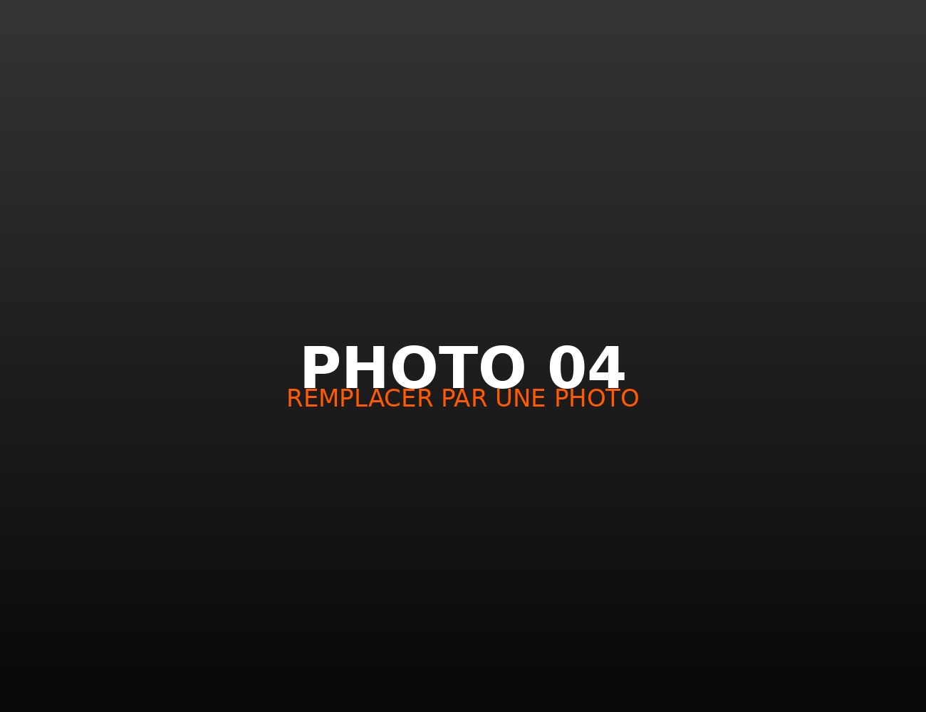 Photographie de concert 4