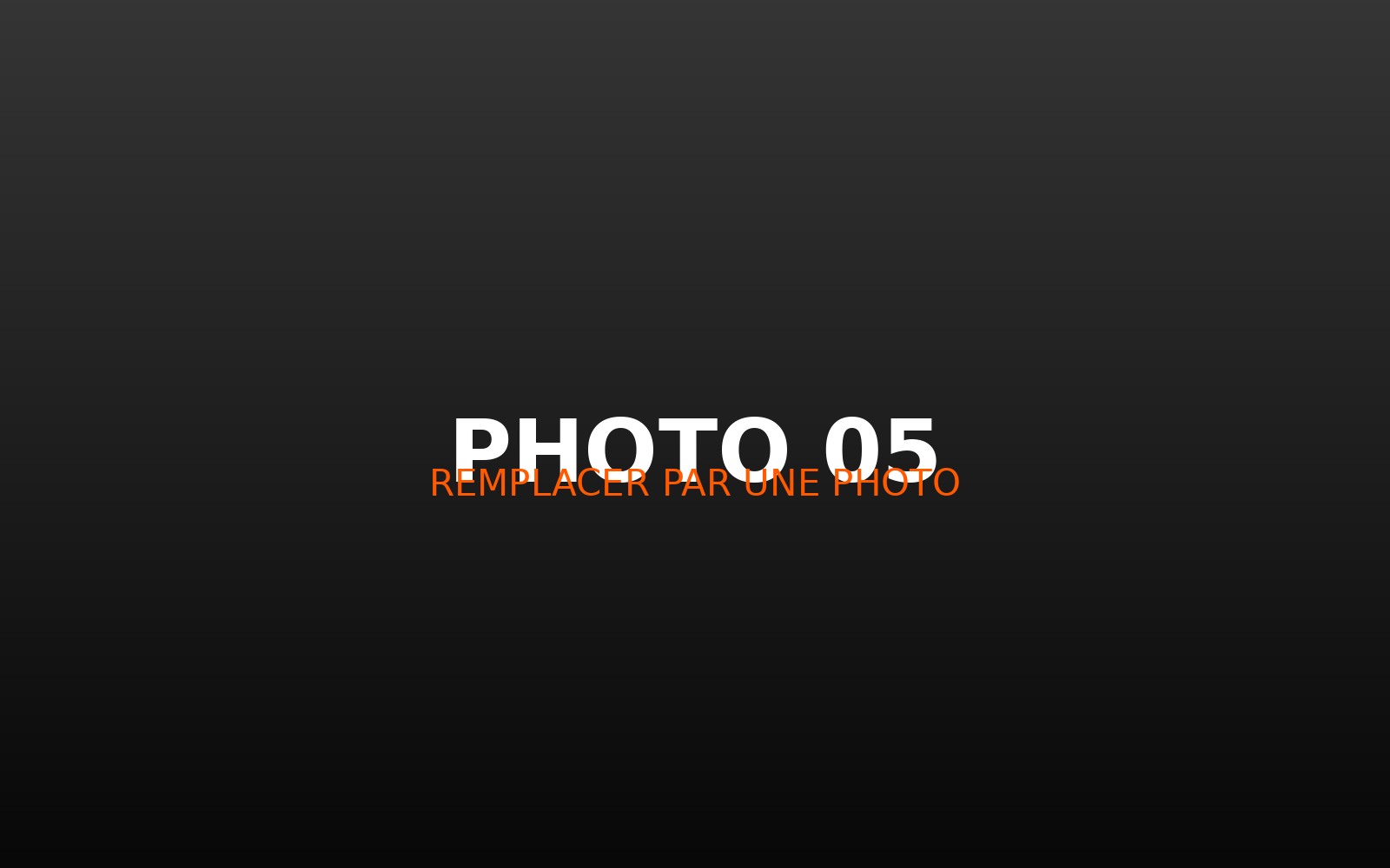 Photographie de concert 5