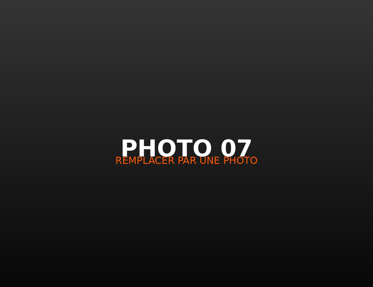 Photographie de concert 7