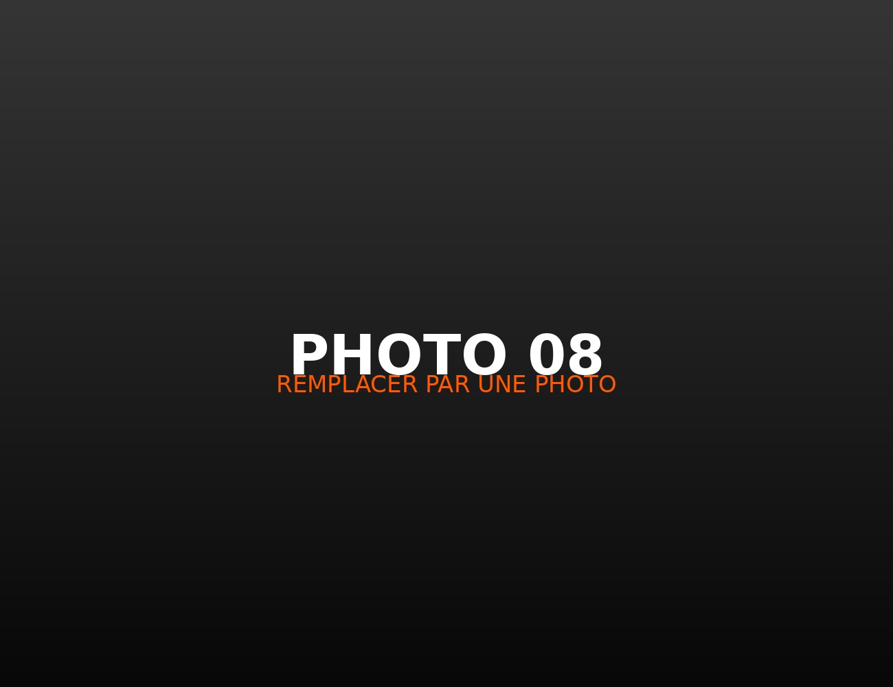 Photographie de concert 8